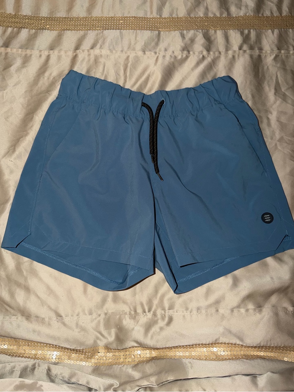 Free Fly Apparel Blue Performance Shorts